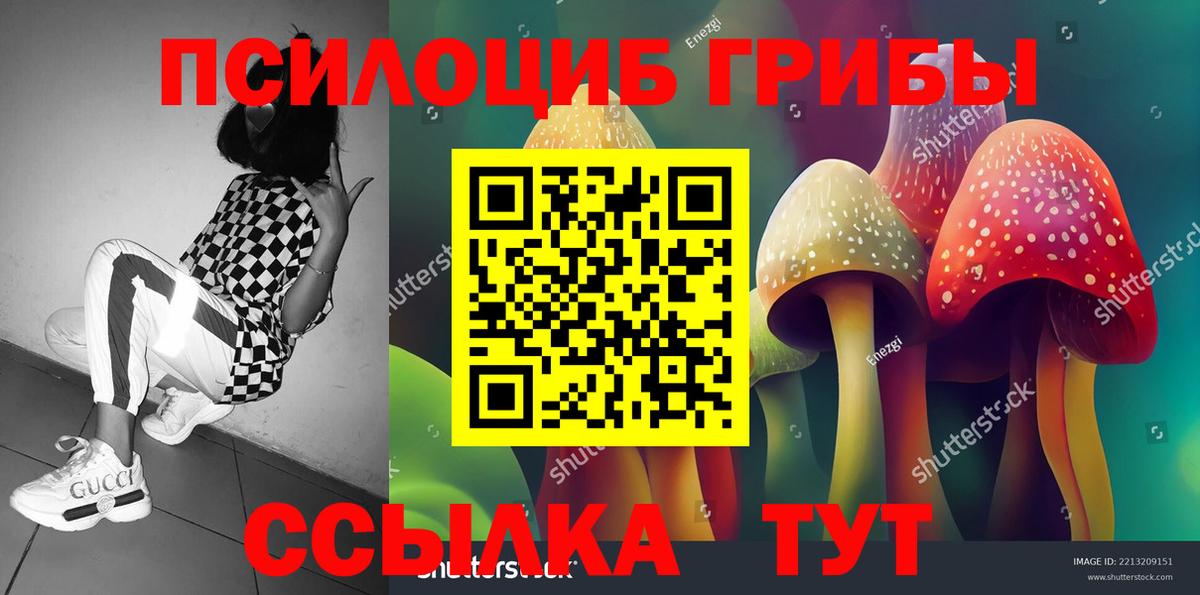 Галлюциногенные грибы GOLDEN TEACHER  дарнет шоп  Альметьевск  Псилоцибиновые грибы Cubensis  Вход с VPN 
